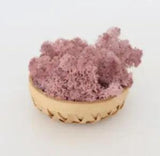 Perpetual Moss Perpetual Seaweed - Deep Taro Purple