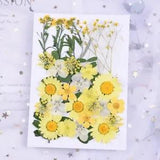 34PCS Real Pressed Dry Flower collection, Yellow Flower with leaf stem FCD16