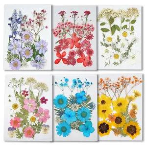 1 Bag Natural Dried Pressed Flowers UV Resin Filling Jewelry Making Crafts DIY