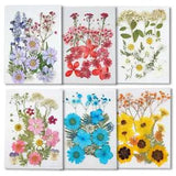 1 Bag Natural Dried Pressed Flowers UV Resin Filling Jewelry Making Crafts DIY