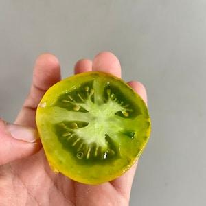 Tomatoes "lime green salad". 15 seeds for the garden. Seeds of vegetable plants. Vegetables.