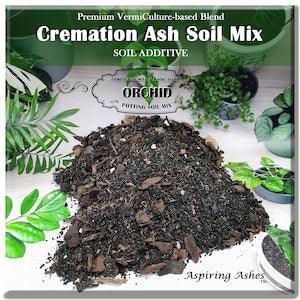 Live ORCHID Plant Soil Mix for CREMATED ASHES Garden Soil Mix Orchid Lover Gift Large Orchid Planter Fragrant Orchid Flower Bundles Sympathy