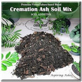 Live ORCHID Plant Soil Mix for CREMATED ASHES Garden Soil Mix Orchid Lover Gift Large Orchid Planter Fragrant Orchid Flower Bundles Sympathy
