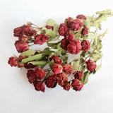 Dried Roses Bouquet 3 Stems Small Dried Roses Dried Mini Roses Flower with Stem Dry Flowers Burgundy