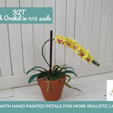 Kit miniature plants yellow Moth Orchid dollhouse miniatures in 12th scale DIY Phalaenopsis