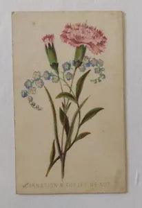 Victorian Flower Card "Carnation & Forget Me-Not"