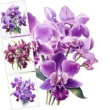 Floral Clipart Bundle, Purple Orchids Clipart, Exotic Flowers, Purple Flowers Clipart, Junk Journal, Commercial Use, 16 Images, Sublimation