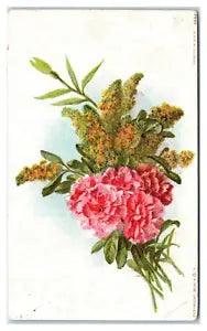 Postcard - Pink Carnations Vintage Ephemera posted 1909