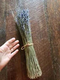 16" Dried Lavender Bundle Natural Flowers
