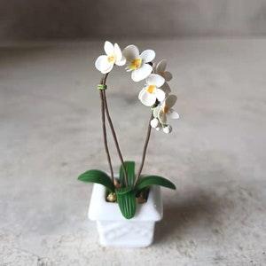 Dollhouse Miniature Two White Orchid in Pot 1:6 Scale Handmade Flower Plants