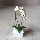 Dollhouse Miniature Two White Orchid in Pot 1:6 Scale Handmade Flower Plants