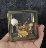 Vintage handmade mini glass dried mushrooms and flowers terrarium