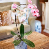 Blue and White Orchid Pot / Cache Pot