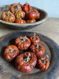 Fully Dried Mini Pumpinos Pumpkin Peppers Fall Orange Vase Filler Decor Craft