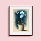 Blue Orchid Drawing Flower Drawing Poster Living Room Wall Art Bedroom Decor Printable Wall Art Gift Beige Pot