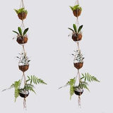 Hanging Shell pots, 4-Tier Hanging Coconut Planter, Indoor hanging