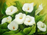 ?Calla Lily Plant 5D DIY Diamond Painting White Flowers Embroidery Cross Stitch