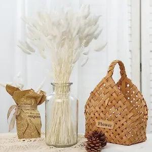 120 White Bunny Tails Dried Flowers, Lagurus Pampas Grass, Bunny Tails