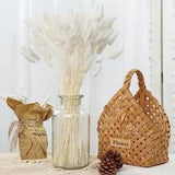 120 White Bunny Tails Dried Flowers, Lagurus Pampas Grass, Bunny Tails