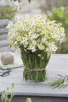 My inner landscape Flower Delivery
