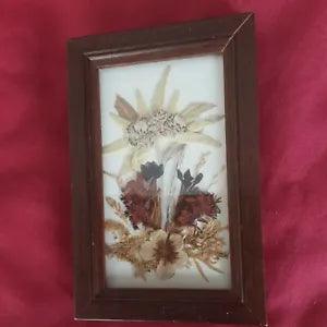 Vintage Dried Pressed Flowers, Made in  Austria  Miniature Floral Art