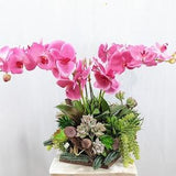 Real-Touch Orchid and Succulent Arrangement with Dragonwood