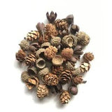 Natural Pine Cone Dried Flowers Plants Acorn For Home And Diy Crafts Decorations