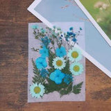 Dried Flower Material Package Pressed Crafts Flowers Mixed Leaves Applique