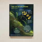 Orchid Life Cycle Poster