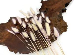 30 Pieces - 12-15" Pale Lavender Bunny Tail Preserved Dried Botanical Grass Boho