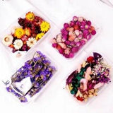 1 Box Real Dried Flower Dry Plants For Aromatherapy Candle Epoxy Resin Pendant