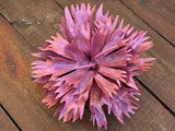 Carnation Bouquet 6th Anniversary Gift Flower Birthday Wedding Christmas Mother