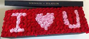 GRANDIOSE DE VENUS