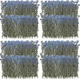 200 Pcs Natural Forget Me Not Pressed Dried Flowers Blue Don'T Forget Me Dried F