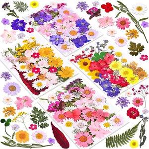 140 Pcs Dried Pressed Flowers for Resin, Real Pressed Flowers Dry Leaves Bulk Na