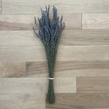 Dried Lavender Bundles (Wisconsin, Harvested 2023)