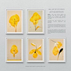 Orchid wall art yellow prints Abstract Mid Century Modern Prints for minimalistic style botanical wall art flowers print