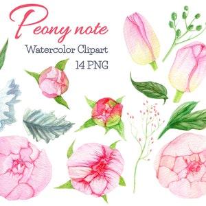 Watercolor peonies clipart florals peony clip art watercolor flower peony wedding invitation diy mothers day bridal shower blush floral
