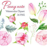 Watercolor peonies clipart florals peony clip art watercolor flower peony wedding invitation diy mothers day bridal shower blush floral