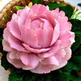 Peony Silicone Mold Soap Mold Peony For Handmade Bouquet Wedding Decor Flower Table Decorations