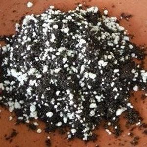 Bromeliad Soil - Mixture of Potting Soil, Perlite and Orchid Bark - Special Mix Allows Water to Drain Fast - Home Terrarium & Vivarium Decor