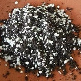 Bromeliad Soil - Mixture of Potting Soil, Perlite and Orchid Bark - Special Mix Allows Water to Drain Fast - Home Terrarium & Vivarium Decor