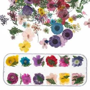 12 Colors Real Dried Flowers 3D Nail Art Decors Design DIY Tips Manicure Box