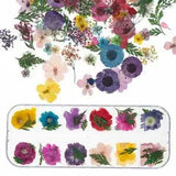 12 Colors Real Dried Flowers 3D Nail Art Decors Design DIY Tips Manicure Box