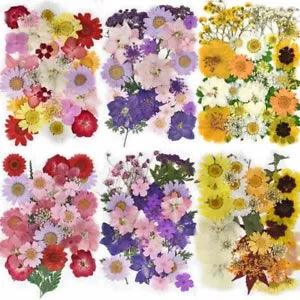 1pack Dried Flowers Resin Fillings Casting Mold Flower Filling Resins Making Sup