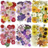 1pack Dried Flowers Resin Fillings Casting Mold Flower Filling Resins Making Sup
