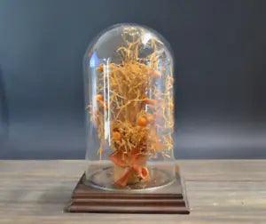 Vintage Floral Cloche Dried Plant Glass Dome Wooden Base Circa 1970's Decor