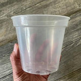 5??? round ultra clear orchid pot, Clear plastic pot, Plastic flower pot for orchids, Clear pot