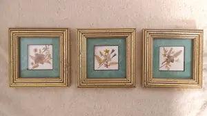 Vintage Set of 3 Wooden Framed and Matted Pressed Flowers 4.75"