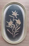 Real Edelweiss Wall Decor Dried Leontopodium  Alpinum Framed 1960's